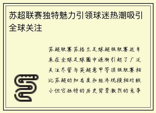 苏超联赛独特魅力引领球迷热潮吸引全球关注